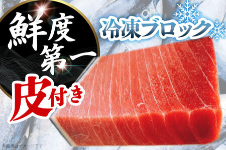 まぐろ マグロ 中トロ 長崎県産 本マグロ 中トロ 約700g 皮付き [大村湾漁業 長崎県 東彼杵町 hs42bag670024]