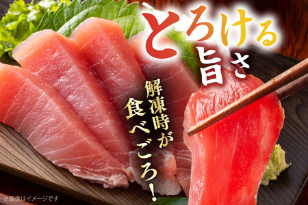 まぐろ マグロ 中トロ 長崎県産 本マグロ 中トロ 約700g 皮付き [大村湾漁業 長崎県 東彼杵町 hs42bag670024]