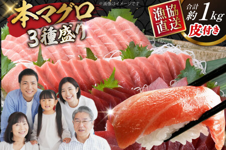 まぐろ マグロ 長崎県産 本マグロ 大トロ 中トロ 赤身 詰め合わせ 総計1kg [大村湾漁業 長崎県 東彼杵町 hs42bag670025]