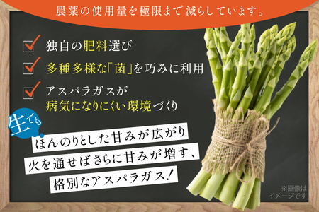 アスパラ アスパラガス 春芽アスパラガス 1kg M L サイズ混合 [はゆっちFARM 長崎県 東彼杵町 hs42bag360012]