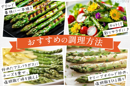 アスパラ アスパラガス 春芽アスパラガス 3kg M L サイズ混合 [はゆっちFARM 長崎県 東彼杵町 hs42bag360016]