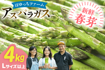 アスパラ アスパラガス 春芽アスパラガス 4kg L サイズ以上 [はゆっちFARM 長崎県 東彼杵町 hs42bag360019]