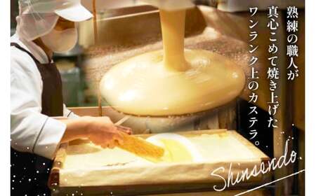 カステラ 幸せの黄色いカステラ 0.6号 310g 10本セット [長崎カステラセンター心泉堂 長崎県 東彼杵町 hs42bag180019]