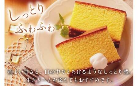 カステラ 五三焼カステラ 0.6号 310g 10本セット [長崎カステラセンター心泉堂 長崎県 東彼杵町 hs42bag180020]