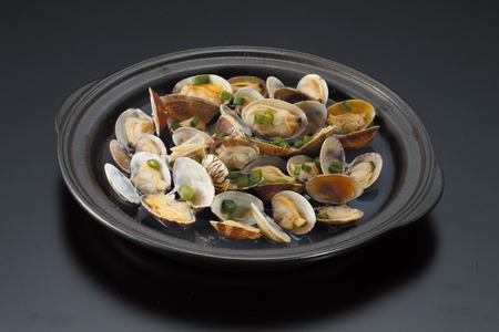 電子レンジ対応 ドリームキッチン 皿2枚 セット蓋付き [トーセラム 長崎県 東彼杵町 hs42bag480005]