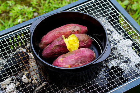 セラミックス ダッチオーブンS 燻製チップ付き [トーセラム 長崎県 東彼杵町 hs42bag480023]