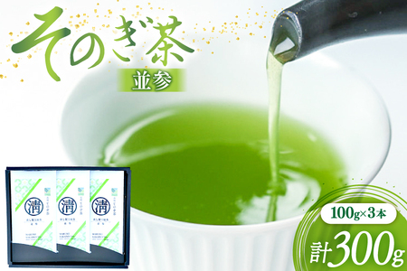 茶 緑茶 そのぎ茶 (並参) 100g 3袋入り 総計300g [まるせい酒井製茶 長崎県 東彼杵町 hs42bag370004]