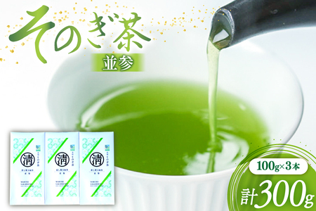 茶 緑茶 そのぎ茶（並参）100g 3袋 総計300g [まるせい酒井製茶 長崎県 東彼杵町 hs42bag370015]