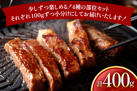 牛肉 和牛 長崎和牛 焼肉 4種 セット 各100g 計400g 詰め合わせ [黒牛 長崎県 東彼杵町 hs42bag750001]