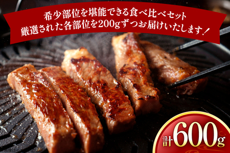 牛肉 長崎和牛 希少部位 食べ比べ ミスジ イチボ ザブトン 計600g [黒牛 長崎県 東彼杵町 hs42bag750030]