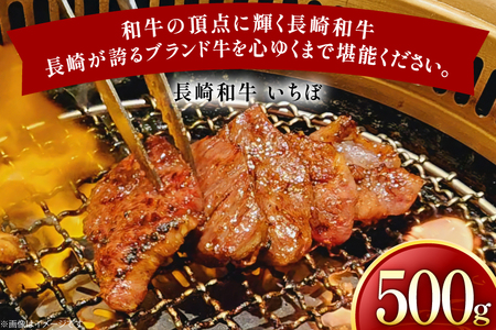 牛肉 長崎和牛 焼肉用 いちぼ 500g [黒牛 長崎県 東彼杵町 hs42bag750075]