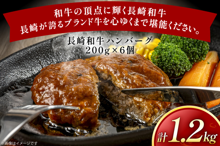 ハンバーグ 長崎和牛 100％ ハンバーグ (200g×6個) [黒牛 長崎県 東彼杵町 hs42bag750077]