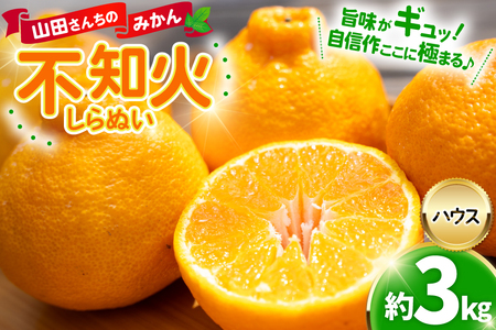 【期間限定発送】【先行予約50個限定】 みかん 山田さんちのハウス不知火(しらぬい) 約3kg [長崎県 東彼杵町 hs42bag330000]