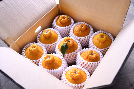 【期間限定発送】【先行予約50個限定】 みかん 山田さんちのハウス不知火(しらぬい) 約3kg [長崎県 東彼杵町 hs42bag330000]