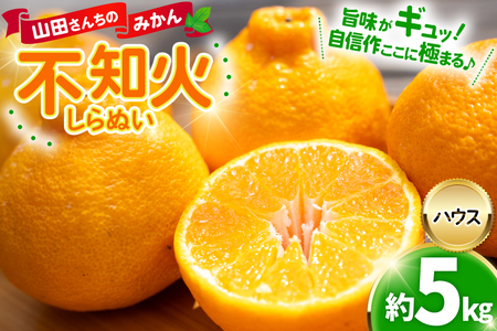 【期間限定発送】【先行予約100個限定】 みかん 山田さんちのハウス不知火(しらぬい) 約5kg [長崎県 東彼杵町 hs42bag330002]