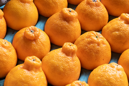 【期間限定発送】【先行予約100個限定】 みかん 山田さんちのハウス不知火(しらぬい) 約5kg [長崎県 東彼杵町 hs42bag330002]