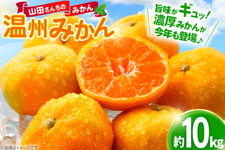 【期間限定発送】 【先行予約100個限定】みかん 温州みかん 10kg [長崎県 東彼杵町 hs42bag330003]