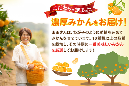 【期間限定発送】 【先行予約100個限定】みかん 温州みかん 10kg [長崎県 東彼杵町 hs42bag330003]