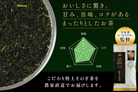 お茶 そのぎ茶 【TVで紹介！】そのぎ茶 (特上) 100g 3袋入 [ふくだ園 長崎県 東彼杵町 hs42bag770000]
