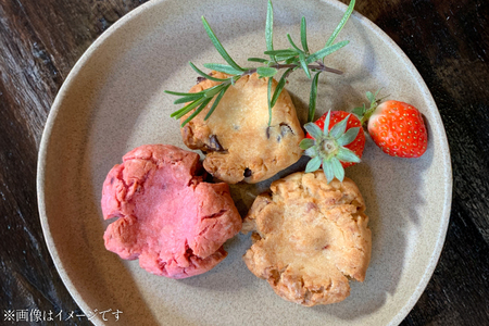 塩麹 クッキー 豆腐 ブランデーケーキ 豆腐ブランデーケーキ 400g &塩麹クッキー 1袋 4個入 6袋 詰合せ [海月食堂 長崎県 東彼杵町 hs42bag460004]