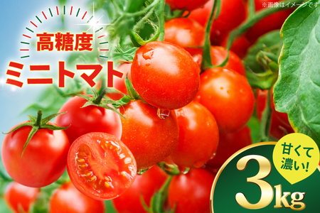 ミニトマト 高糖度 【甘くて濃い】 ミニトマト 3kg [山口製茶 長崎県 東彼杵町 hs42bag310000]