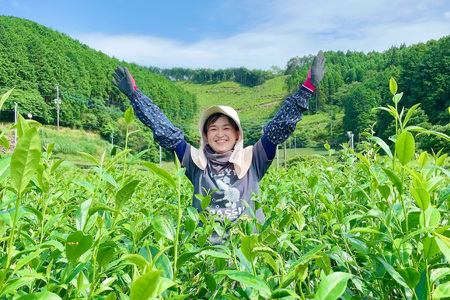お茶 緑茶 そのぎ茶3種セット 各100g [そのぎ茶深緑の里 長崎県 東彼杵町 hs42bag570001]