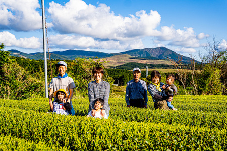 お茶 緑茶 そのぎ茶3種セット 各100g [そのぎ茶深緑の里 長崎県 東彼杵町 hs42bag570001]