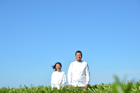 そのぎ茶 特上茶 大河の掬 90g 2本 美の掬 90g 1本 計3本 [おのうえ茶園 長崎県 東彼杵町 hs42bag740004]