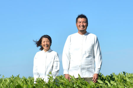 緑茶 日本茶 掬い3袋入り (90g 3袋) [おのうえ茶園 長崎県 東彼杵町 hs42bag740003]