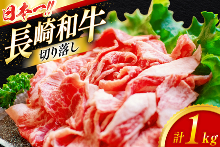牛肉 切り落とし 長崎和牛 切り落し 1kg [大川ストアー 長崎県 東彼杵町 hs42bag580003]