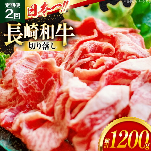 牛肉 切り落とし 定期便 長崎和牛 切り落し600g 2回 総計1200g [大川ストアー 長崎県 東彼杵町 hs42bag580011]