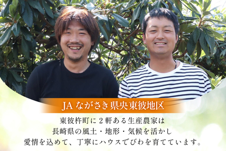 長崎 びわ 長崎県産 ハウスびわ 1kg 化粧箱入 つめあわせ 【2026年3月順次発送】[JAながさき県央グリーン東彼 長崎県 東彼杵町 hs42bag450000] 