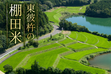 米 お米 5kg 棚田米 限定50個 [東彼杵町観光協会 長崎県 東彼杵町 hs42bag720002]