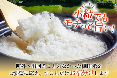 米 お米 5kg 棚田米 限定50個 [東彼杵町観光協会 長崎県 東彼杵町 hs42bag720002]