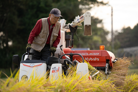米 お米 5kg 棚田米 限定50個 [東彼杵町観光協会 長崎県 東彼杵町 hs42bag720002]