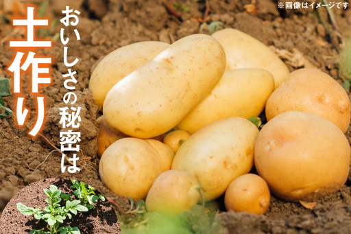 じゃがいも メークイン 産地直送 春野菜 野田さん家のじゃがいも ゴールドメークイン 10kg 限定20個 [野田物産 長崎県 東彼杵町 hs42bag810001]
