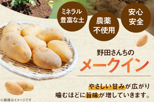 じゃがいも メークイン 産地直送 春野菜 野田さん家のじゃがいも ゴールドメークイン 10kg 限定20個 [野田物産 長崎県 東彼杵町 hs42bag810001]