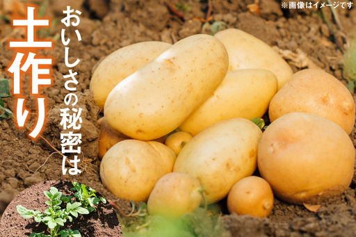 じゃがいも 産地直送 春野菜 野田さん家のじゃがいも ニシユタカ 10kg 限定30個 [野田物産 長崎県 東彼杵町 hs42bag810000]
