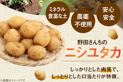 じゃがいも 産地直送 春野菜 野田さん家のじゃがいも ニシユタカ 10kg 限定30個 [野田物産 長崎県 東彼杵町 hs42bag810000]