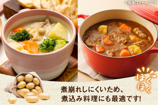 じゃがいも 産地直送 春野菜 野田さん家のじゃがいも ニシユタカ 10kg 限定30個 [野田物産 長崎県 東彼杵町 hs42bag810000]