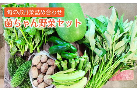 【旬の野菜を詰合せ】微生物が育てる 菌ちゃん野菜セット 野菜セット 野菜 やさい  [BCV001]