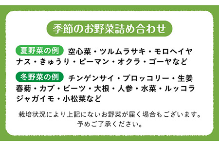 【旬の野菜を詰合せ】微生物が育てる 菌ちゃん野菜セット 野菜セット 野菜 やさい  [BCV001]