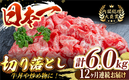 【全12回定期便】長崎和牛切り落し 計6.0kg（約500g×12回）牛肉 和牛 切り落とし すき焼き しゃぶしゃぶ 500ｇ 定期便  切り落とし 切落し  切り落とし 切落し  切り落とし 切落し  切り落とし 切落し  切り落とし 切落し  切り落とし 切落し  切り落とし 切落し  切り落とし 切落し  切り落とし 切落し  切り落とし 切落し  切り落とし 切落し  切り落とし 切落し  切り落とし 切落し  切り落とし 切落し  切り落とし 切落し  切り落とし 切落し 東彼杵町/有限会社大川ストアー [BAJ033]