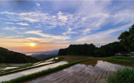 東彼杵町産のお米 5kg（白米・令和5年度ヒノヒカリ）【株式会社ウラノ・URABIO】/お米 米 白米 ふっくら ツヤツヤ 甘い 国産 [BDB003] / お米 米 白米 ふっくら ツヤツヤ 甘い 国産 ひのひかり ヒノヒカリ お米 米 白米 ふっくら ツヤツヤ 甘い 国産 ひのひかり ヒノヒカリ お米 米 白米 ふっくら ツヤツヤ 甘い 国産 ひのひかり ヒノヒカリ お米 米 白米 ふっくら ツヤツヤ 甘い 国産 ひのひかり ヒノヒカリ お米 米 白米 ふっくら ツヤツヤ 甘い 国産 ひのひかり ヒノヒカリ お米 米 白米 ふっくら ツヤツヤ 甘い 国産 ひのひかり ヒノヒカリ お米 米 白米 ふっくら ツヤツヤ 甘い 国産 ひのひかり ヒノヒカリ お米 米 白米 ふっくら ツヤツヤ 甘い 国産 ひのひかり ヒノヒカリ お米 米 白米 ふっくら ツヤツヤ 甘い 国産 ひのひかり ヒノヒカリ