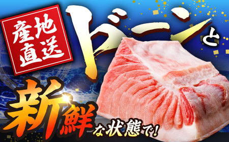 【全6回定期便(月1回)】長崎県産 本マグロ 大トロ皮付き 約600g 【大村湾漁業協同組合】 [BAK029]/大トロ 大とろ まぐろ 刺身