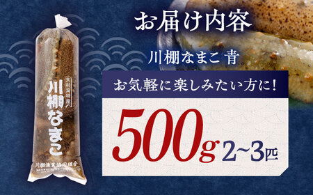 【先行受付】川棚 なまこ 約500g[OAI002] 正月 海鮮 なまこ