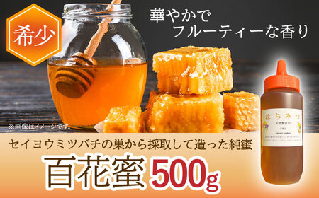 とんがり容器入りはちみつ 百花蜜 500g【小佐々養蜂場】[OCY001] / 蜂蜜 はちみつ ハチミツ 蜂蜜 はちみつ ハチミツ 蜂蜜 はちみつ ハチミツ 蜂蜜 はちみつ ハチミツ 蜂蜜 はちみつ ハチミツ 蜂蜜 はちみつ ハチミツ