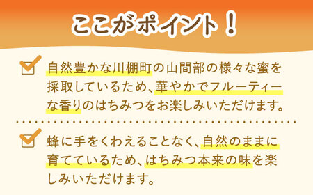 とんがり容器入りはちみつ 百花蜜 500g【小佐々養蜂場】[OCY001] / 蜂蜜 はちみつ ハチミツ 蜂蜜 はちみつ ハチミツ 蜂蜜 はちみつ ハチミツ 蜂蜜 はちみつ ハチミツ 蜂蜜 はちみつ ハチミツ 蜂蜜 はちみつ ハチミツ