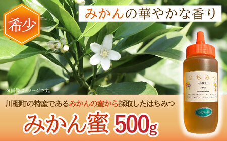 とんがり容器入りはちみつ2種(百花蜜500g＆みかん蜜500g)【小佐々養蜂場】 [OCY005] / 蜂蜜 はちみつ ハチミツ 蜂蜜 はちみつ ハチミツ 蜂蜜 はちみつ ハチミツ 蜂蜜 はちみつ ハチミツ 蜂蜜 はちみつ ハチミツ 蜂蜜 はちみつ ハチミツ