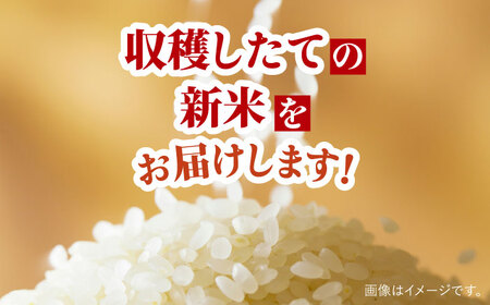 令和6年産 新米 ヒノヒカリ 10kg 【Mt.Gファーム】 [OCX004